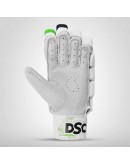 DSC Miller 10 Cricket Batting Gloves