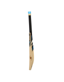 SS Single S Blue Color English Willow Cricket Bat
