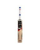 SS T20 Power English Willow Cricket Bat 