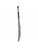 Kashmir Willow Single S Destroyer Cricket Bat