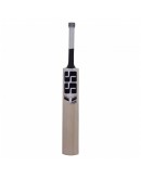 SS T20 Players Kashmir Willow Cricket Bat