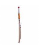 SS T20 Premium Kashmir Willow Cricket Bat