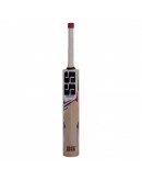 SS White Edition Red Kashmir Willow Cricket Bat