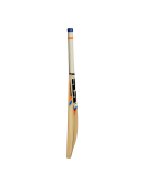 SS T20 Champion Kashmir Willow Cricket Bat 
