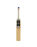 SS T20 Champion Kashmir Willow Cricket Bat 