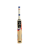 SS T20 Power Kashmir Willow Cricket Bat 