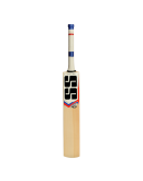 SS T20 Power Kashmir Willow Cricket Bat 