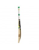 SS T20 Storm Kashmir Willow Cricket Bat Short Handle 