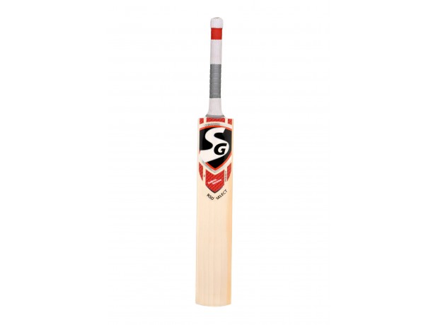 SG RSD Select English Willow Cricket Bat