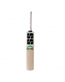 SS Master 100 Kashmir Willow Cricket Bat