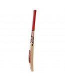 SS VA 900 English Willow Cricket Bat