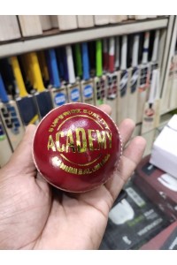 NSI Academy Leather Cricket Ball Red