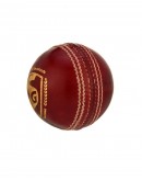 SG Bouncer Leather Cricket Ball Red