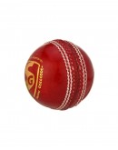 SG Seamer Leather Cricket Ball Red