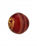 SG Test Leather Cricket Ball Red