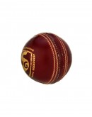 SG Tournament 4 Piece Leather Cricket Ball Red