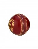 SG Tournament Special Leather Cricket Ball Red