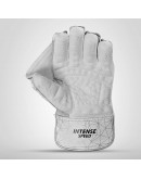 DSC Intense Speed Wicket Keeping Gloves