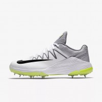 Nike Domain 2 Spikes Cricket Shoes