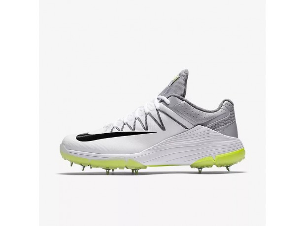 Nike Domain 2 Spikes Cricket Shoes